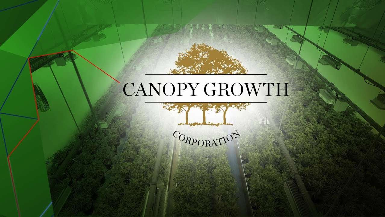 Action Canopy Growth : tout savoir avant de l’acheter